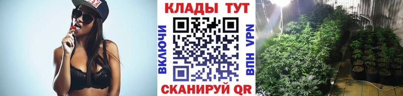 Бошки Шишки Ачхой-Мартан