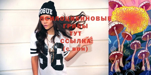 винт Абаза